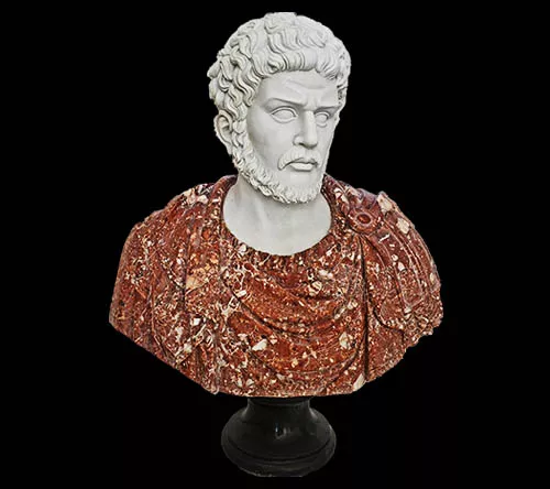 Bust